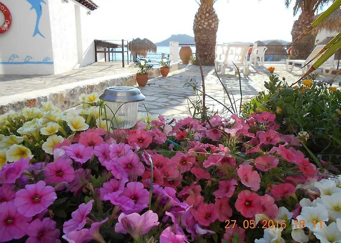 Apartamento Agelica