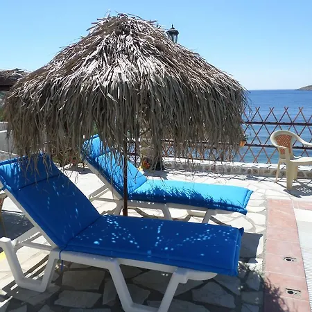 Agelica Apartment *